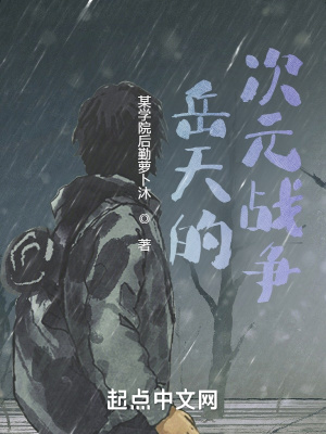 岳天的次元战争